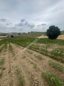 Adana,Karaisalı,Çakallı Köyünde Satılık Tarla. 4