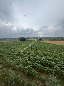 Adana,Karaisalı,Çakallı Köyünde Satılık Tarla. 1
