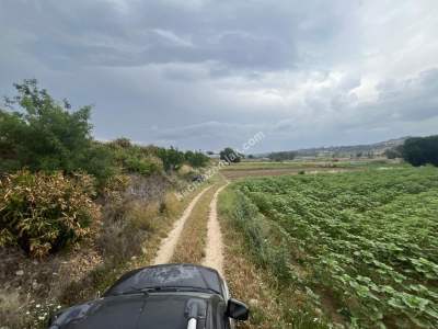 Adana,Karaisalı,Çakallı Köyünde Satılık Tarla. 4