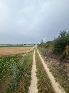 Adana,Karaisalı,Çakallı Köyünde Satılık Tarla. 3