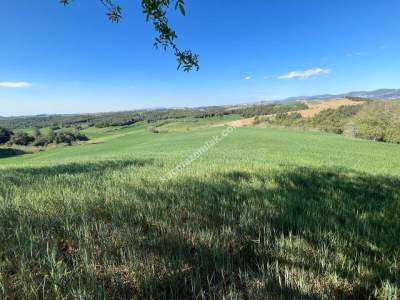 Adana Karaisalı Durak Köyünde Satılık Tarla 1