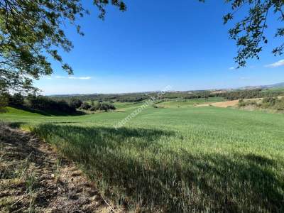 Adana Karaisalı Durak Köyünde Satılık Tarla 6