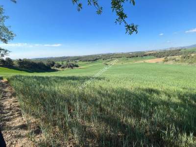 Adana Karaisalı Durak Köyünde Satılık Tarla 2
