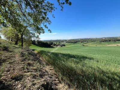 Adana Karaisalı Durak Köyünde Satılık Tarla 5