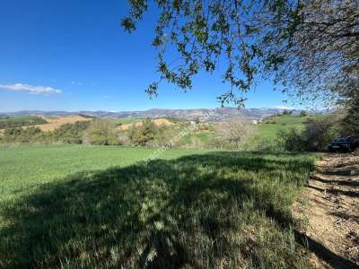 Adana Karaisalı Durak Köyünde Satılık Tarla 3