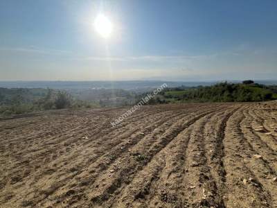 Adana Karaisalı Emelcik Asfalt Kenarı 4