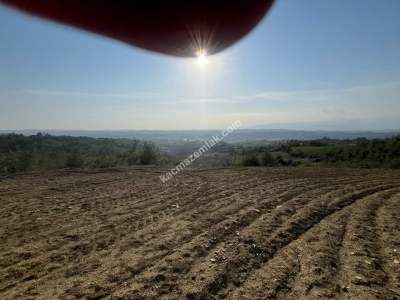 Adana Karaisalı Emelcik Asfalt Kenarı 2