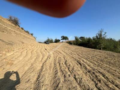 Adana Karaisalı Emelcik Asfalt Kenarı 3