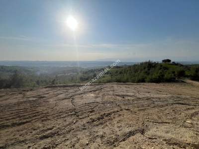 Adana Karaisalı Emelcik Asfalt Kenarı