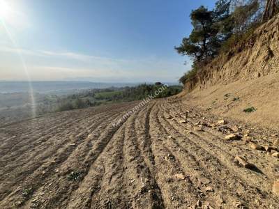Adana Karaisalı Emelcik Asfalt Kenarı 5