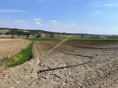 Adana Karaisalı Güvenç Mahalesinde Satılık Tarla 4