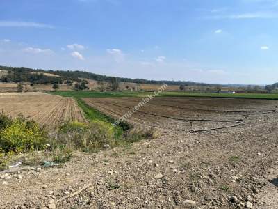 Adana Karaisalı Güvenç Mahalesinde Satılık Tarla 5