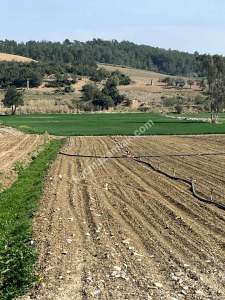 Adana Karaisalı Güvenç Mahalesinde Satılık Tarla 1