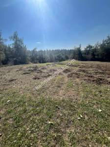 Adana Karaisalı Kaşoba 18 Dönüm Satılık Çiftlik Arazisi 2