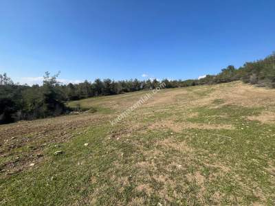 Adana Karaisalı Kaşoba 18 Dönüm Satılık Çiftlik Arazisi 3