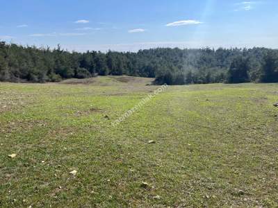 Adana Karaisalı Kaşoba 18 Dönüm Satılık Çiftlik Arazisi 4