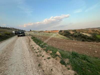 Adana Karaisalı Kuzgun' Da 900 M2 Satılık Hobi Bahçes 3