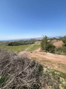 Adana Karaisalı Kuzgun Köyünde Satılık Tarla Çiftlik 2