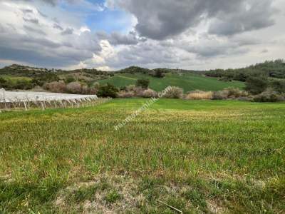 Adana Karaisalı Kuzgun Köyünde Satılık Tarla 3