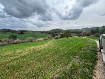Adana Karaisalı Kuzgun Köyünde Satılık Tarla 1