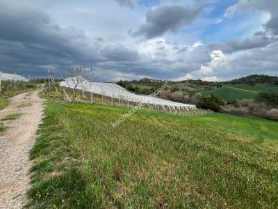 Adana Karaisalı Kuzgun Köyünde Satılık Tarla 2