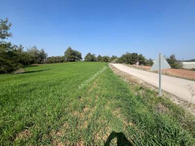 Adana Karaisalı Topaktaş Köyü Satılık Tarla 3