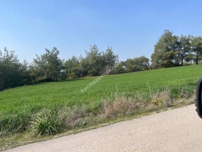 Adana Karaisalı Topaktaş Köyü Satılık Tarla 2