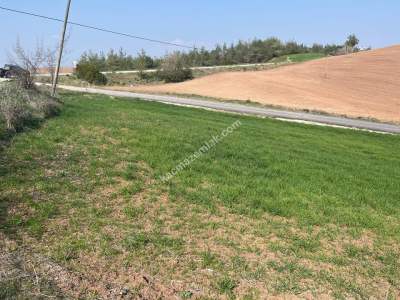 Adana Karaisalı Topaktaş Köyü Satılık Tarla 2