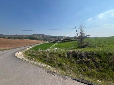 Adana Karaisalı Topaktaş Köyü Satılık Tarla 3