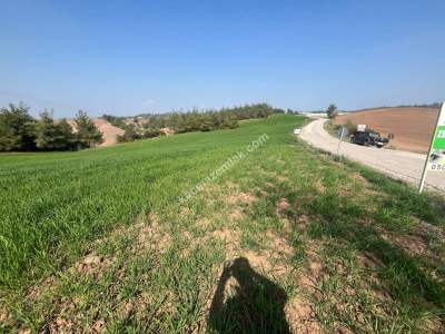 Adana Karaisalı Topaktaş Köyünde Satılık Tarla 3