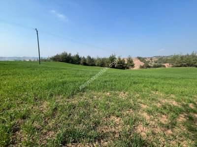 Adana Karaisalı Topaktaş Köyünde Satılık Tarla 4