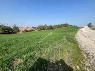 Adana Karaisalı Topaktaş Köyünde Satılık Tarla 1