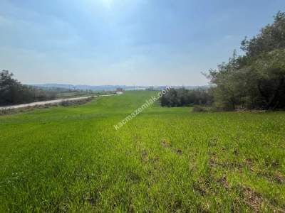 Adana Karaisalı Topaktaş Köyünde Satılık Tarla 2