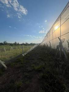 Adana Karaisalı Topaktaş Köyünde Satılık Tarla 3