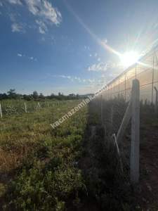 Adana Karaisalı Topaktaş Köyünde Satılık Tarla 2