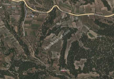 Afyonkarahisarda Yatırımlık Acil Satılık Tarla 4