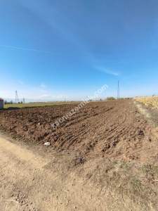 Afyon Susuz Da Satılık Tarla 4