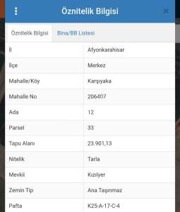 Afyon Susuz Da Satılık Tarla 3