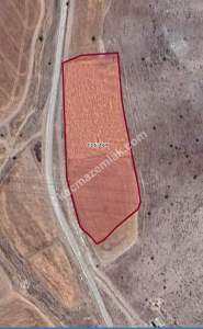 Afyon Saraydüzü Satılık Tarla 2