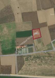 Afyon Saraydüzünde Satılık Tarla 1