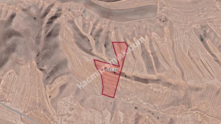 Polatlı Poyraz Köyünde Satılık Müstakil Tapu Tarla 3