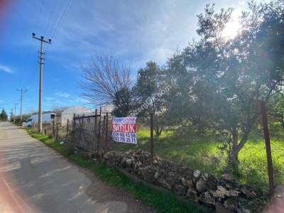 Antalya Aksu Atatürk Mahallesinde Satılık Tarla 5