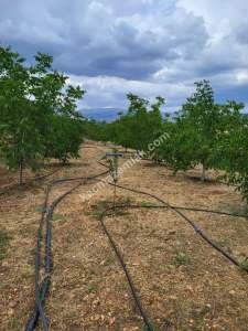 Satılık Tarla + Ruhsatlı Konut 22