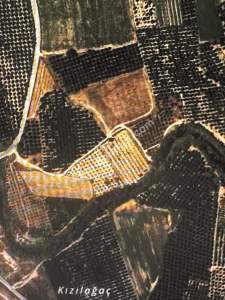 Antalya Manavgat Dolbazlar Satılık Tarlamız 2