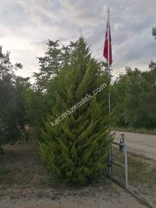 Serik Akbaş Satılık Zeytin Bahçesi Ve Prefabrik Ev 9