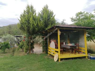 Serik Akbaş Satılık Zeytin Bahçesi Ve Prefabrik Ev 6