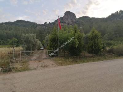 Serik Akbaş Satılık Zeytin Bahçesi Ve Prefabrik Ev 11