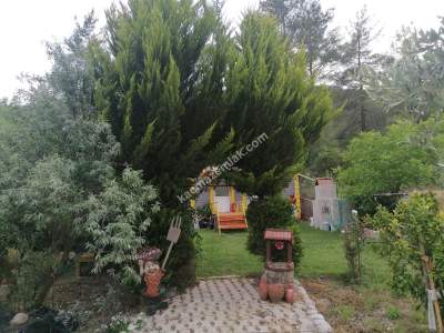 Serik Akbaş Satılık Zeytin Bahçesi Ve Prefabrik Ev 4