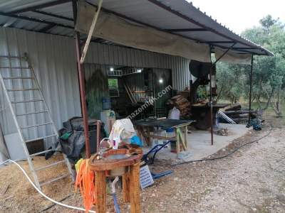 Serik Akbaş Satılık Zeytin Bahçesi Ve Prefabrik Ev 8