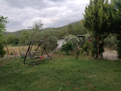 Serik Akbaş Satılık Zeytin Bahçesi Ve Prefabrik Ev 7